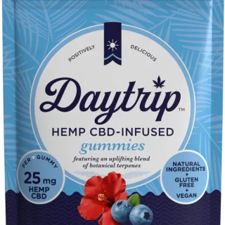 Daytrip CBD Gummies - Blueberry Hibiscus - 2 Pc Bag