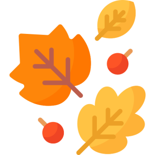 Fall Decor