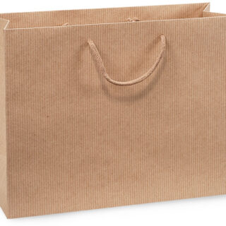 Kraft Pinstripe Large Gift Bag - $3