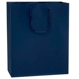 Navy Small Gift Bag - $1.00