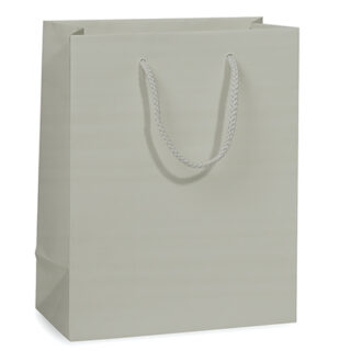 Silver Medium/Small Gift Bag - $1.50