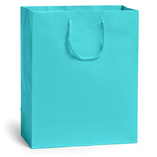 Turquoise Medium/Small Gift Bag - $1.50