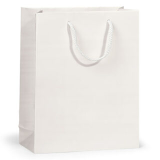 White Medium/Small Gift Bag - $1.50
