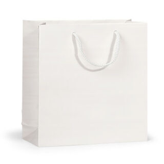 White Small Gift Bag - $1.00