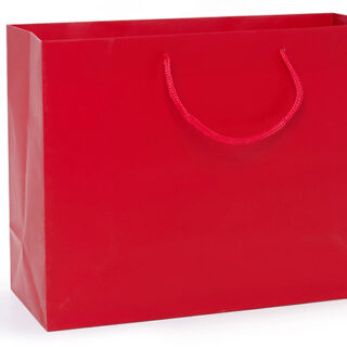 Red Large Gift Bag - $3