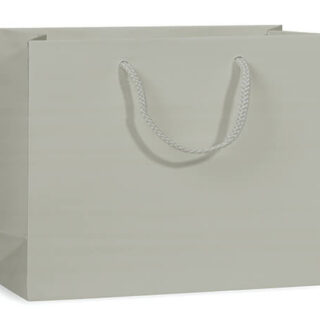 Silver Large Gift Bag - $3