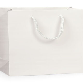 White Large Gift Bag - $3