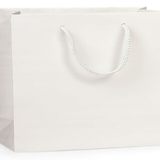 White Large Gift Bag - $2.50