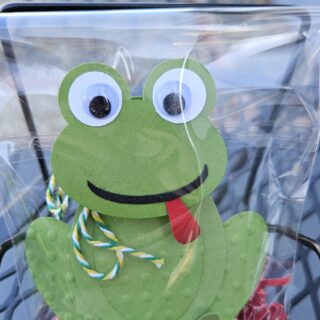 Bobble Head Frog Valentine's Day Treat Holder