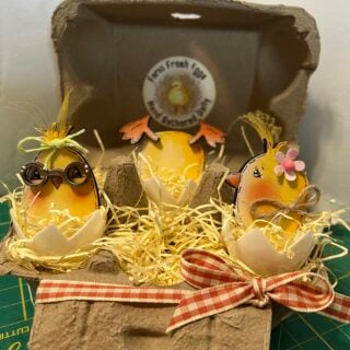 Chicks in Egg Cartons