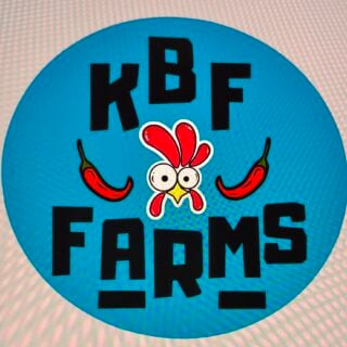 KBF Farms - 12 Pack Fresh Eggs